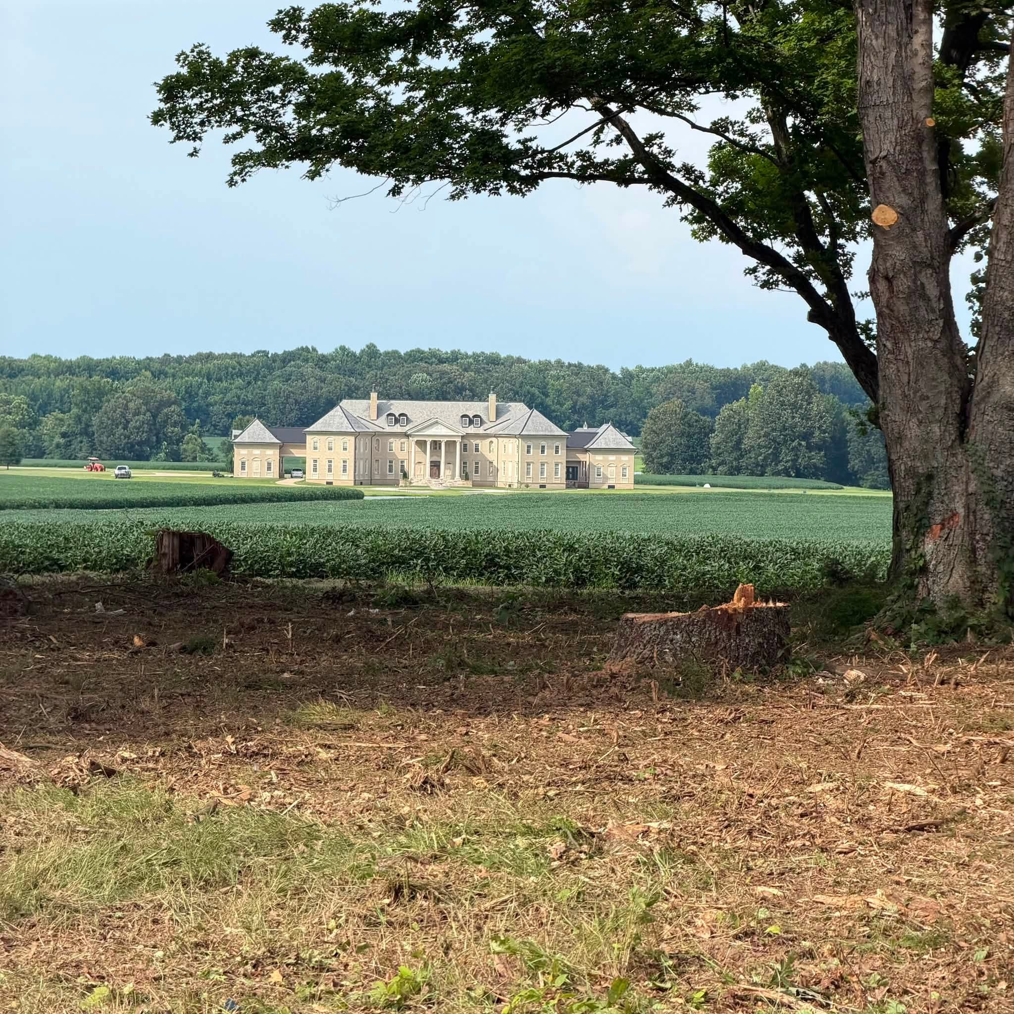 Land clearing and tree removal on a Martin TN estate overlooking cleared acreage