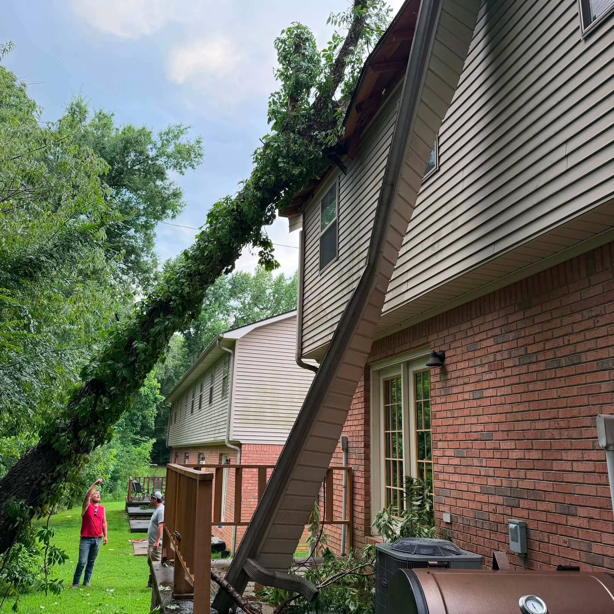 Emergency tree removal after storm damage on a Martin TN home