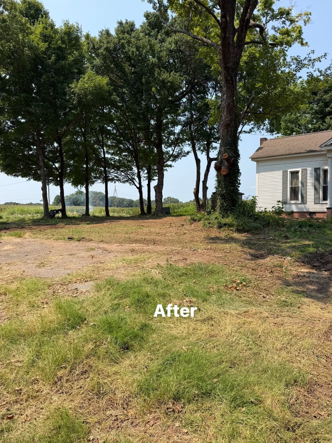 After land clearing and tree trimming beside a Martin TN home