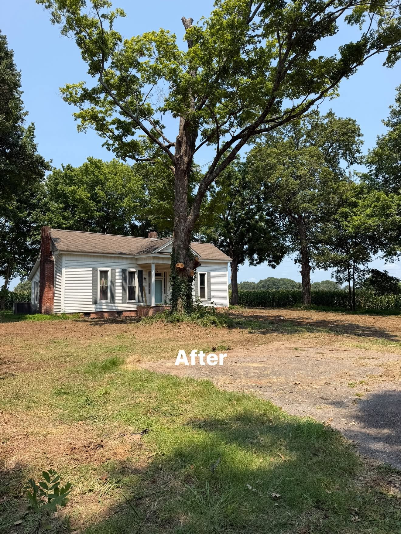 After residential land clearing and tree limbing beside a Martin TN home