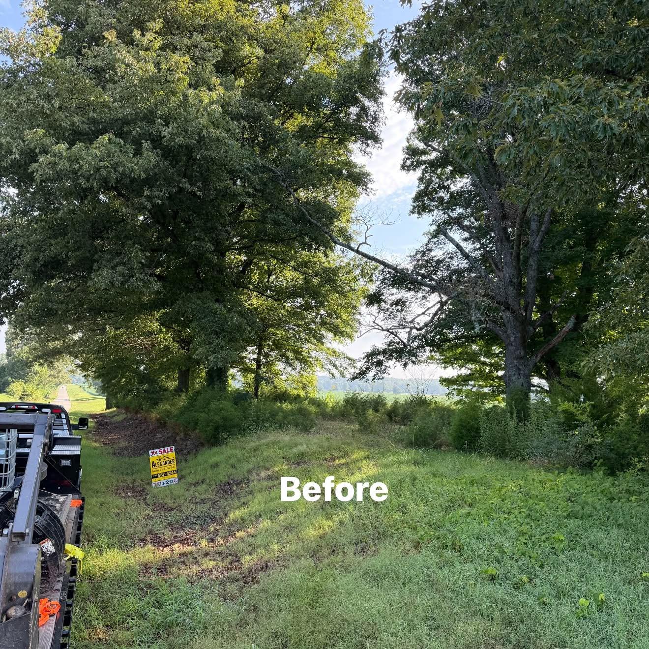 Before roadside lot clearing and brush removal along a Martin TN property