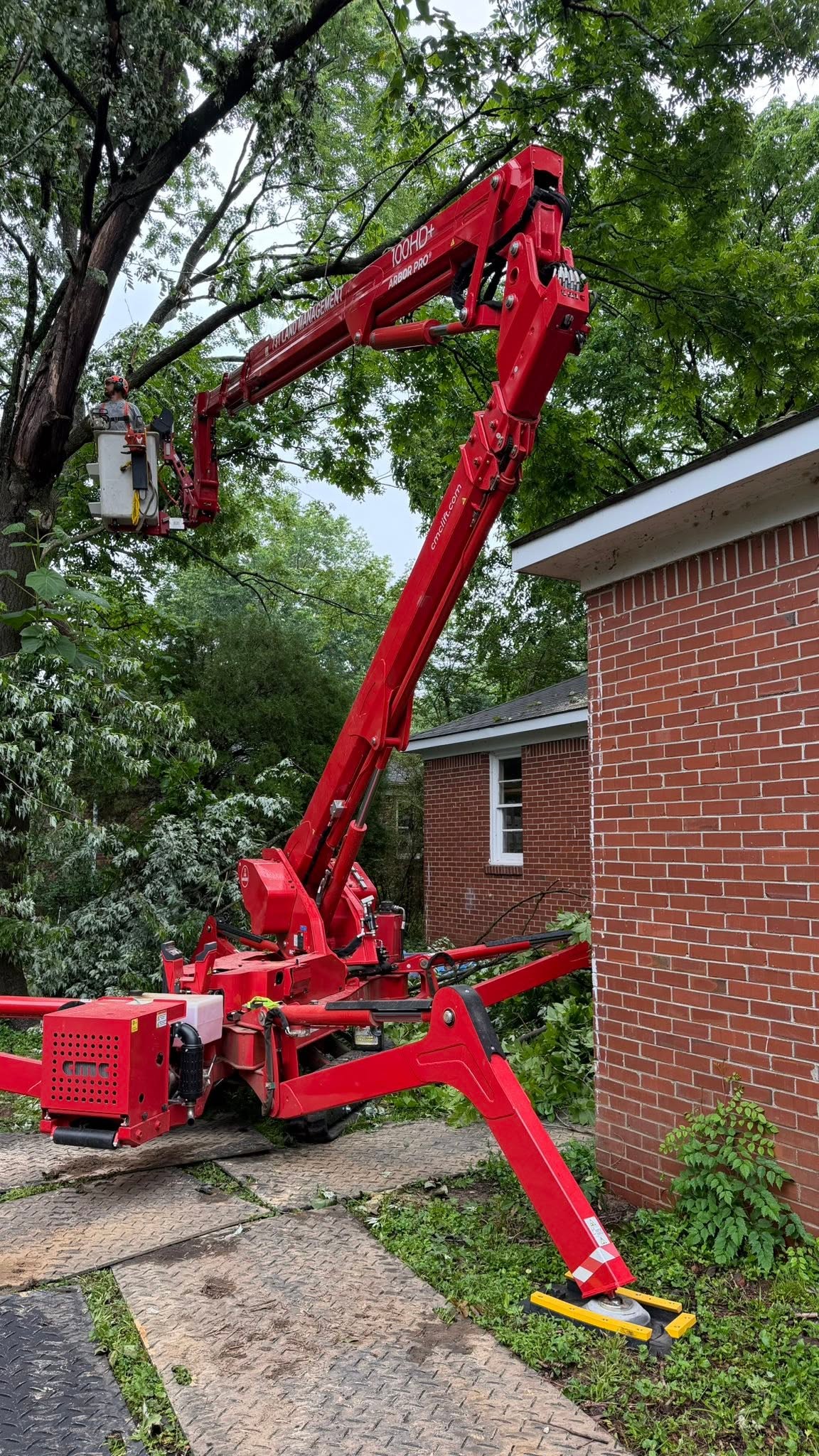 731 Land Management spider lift performing tree service in Martin TN