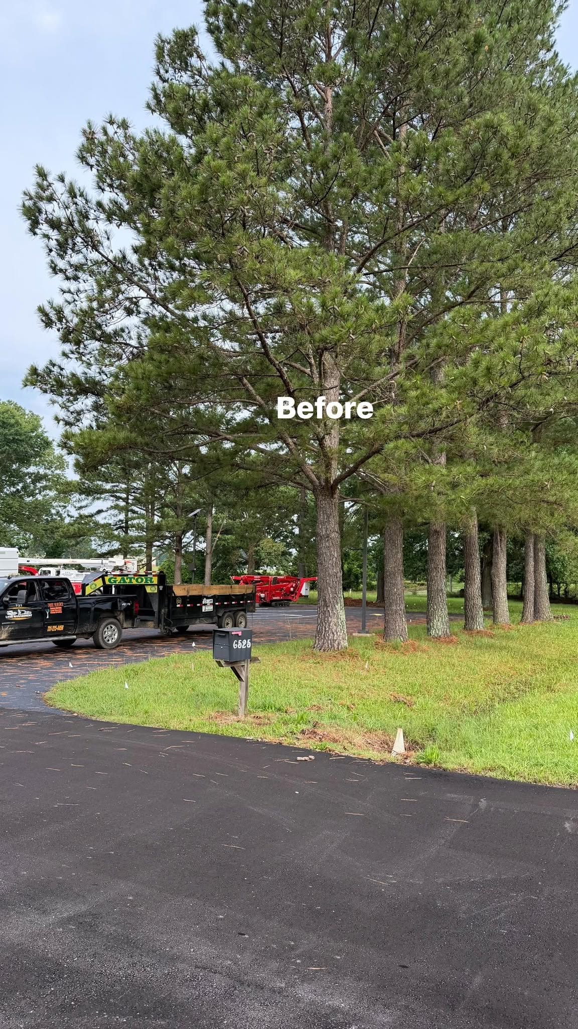 Before pine tree and roadside clearing with equipment staged in Weakley County TN