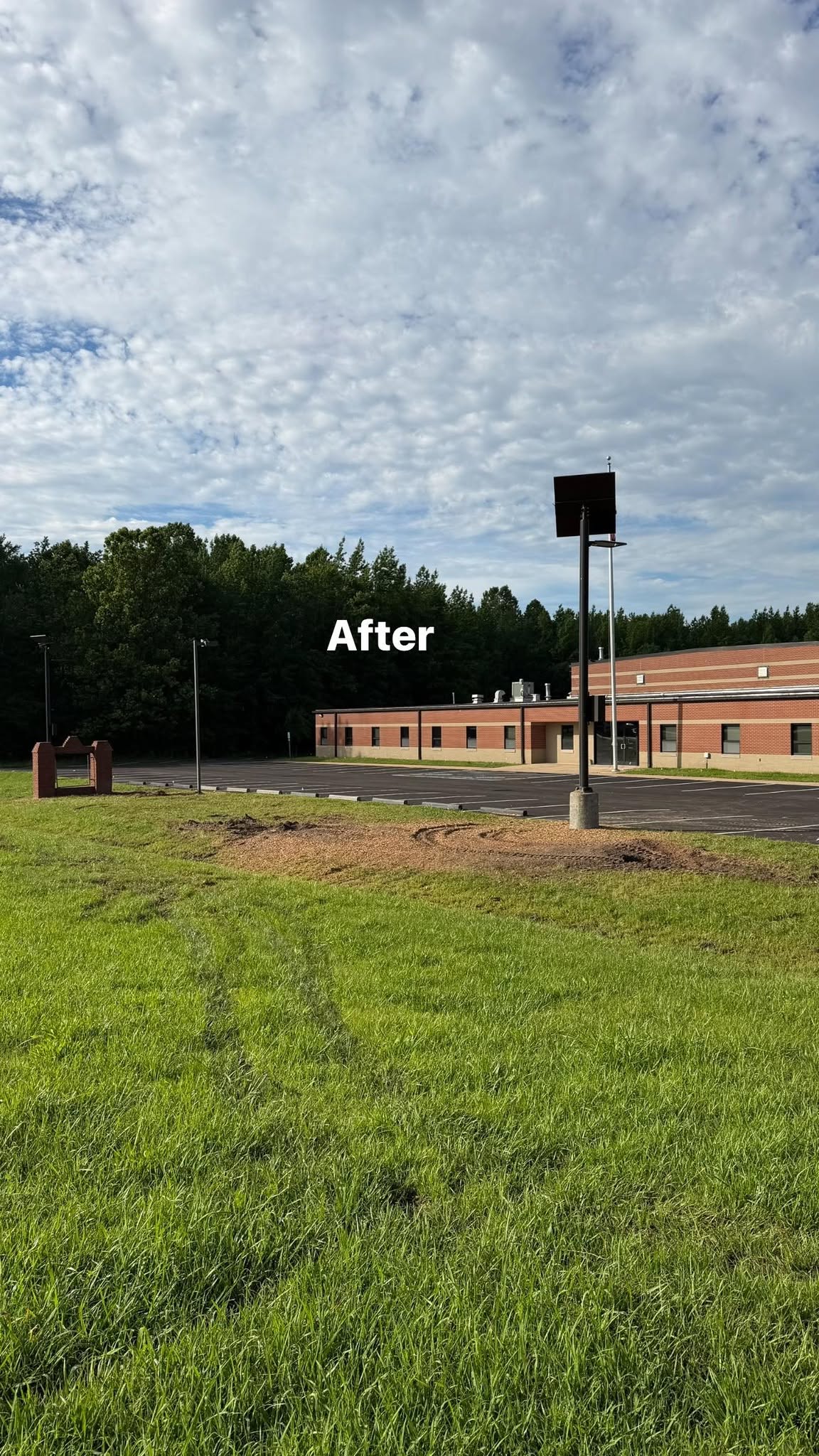 After stump grinding and property clearing at a Martin TN commercial lot