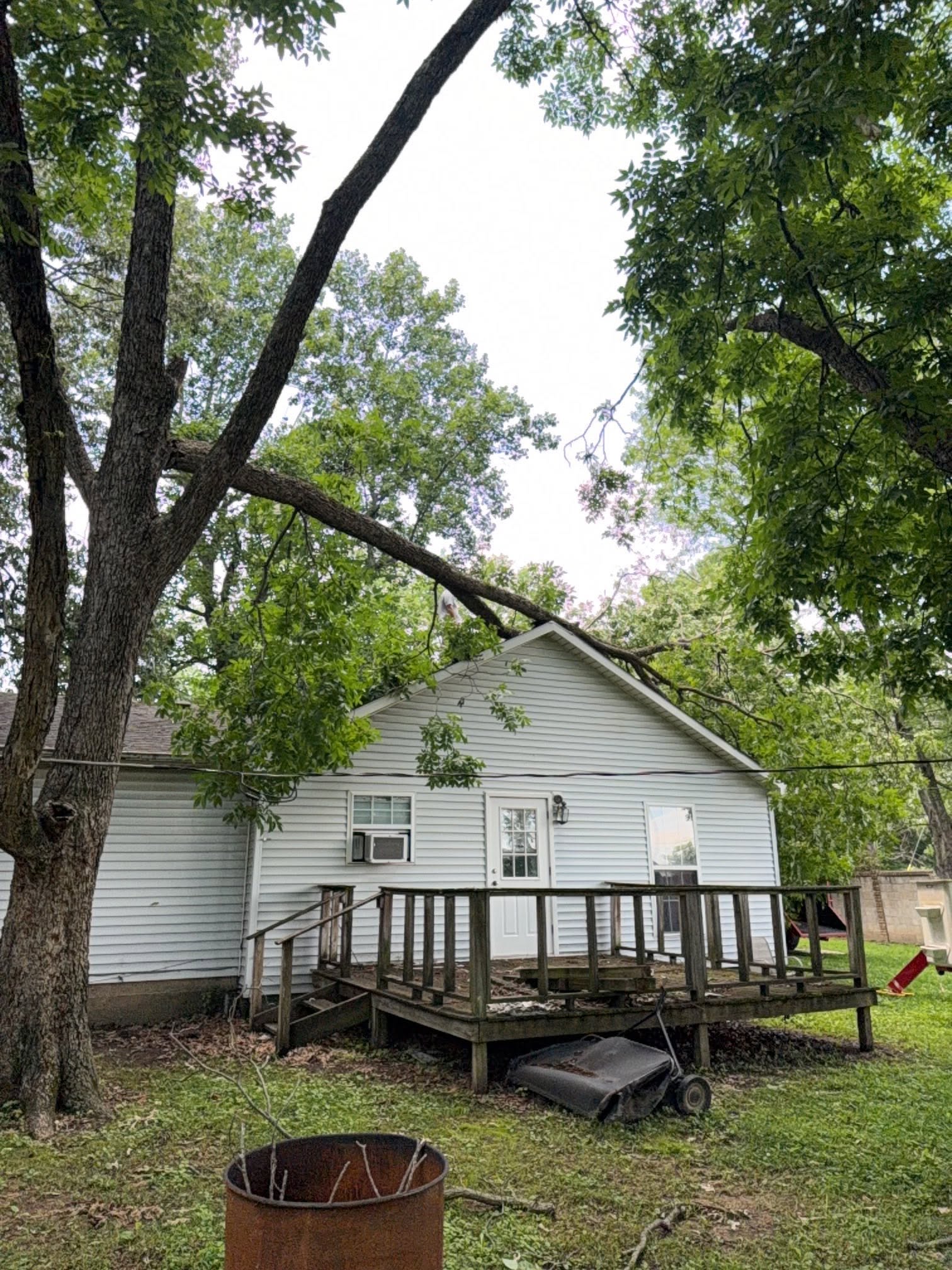 Storm-damaged tree limb on a residential roof in Martin TN